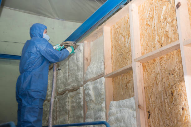 Best Insulation for New Construction  in Roseland, OH